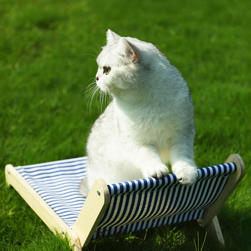 Chaise longue de plage pour chat avec planche à gratter