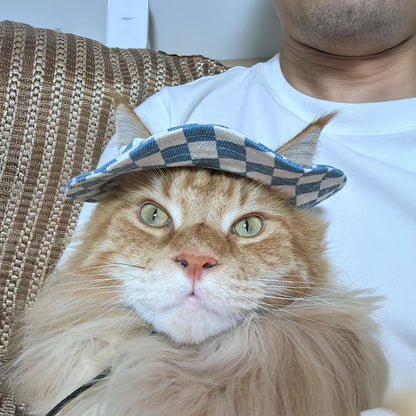 Chapeau de cowboy de protection solaire extérieure pour animaux de compagnie