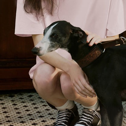 Ensemble de pyjama pour couples, respectueux de l'environnement, couleur Pure, résistant aux poils d'animaux, col ras du cou, manches courtes