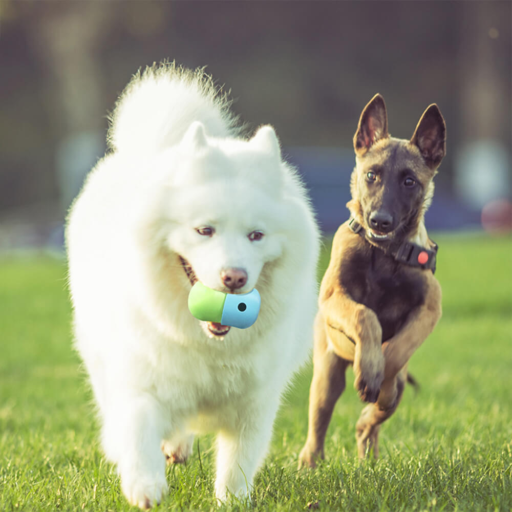 Balle à friandises roulante Jouet interactif en silicone pour chien