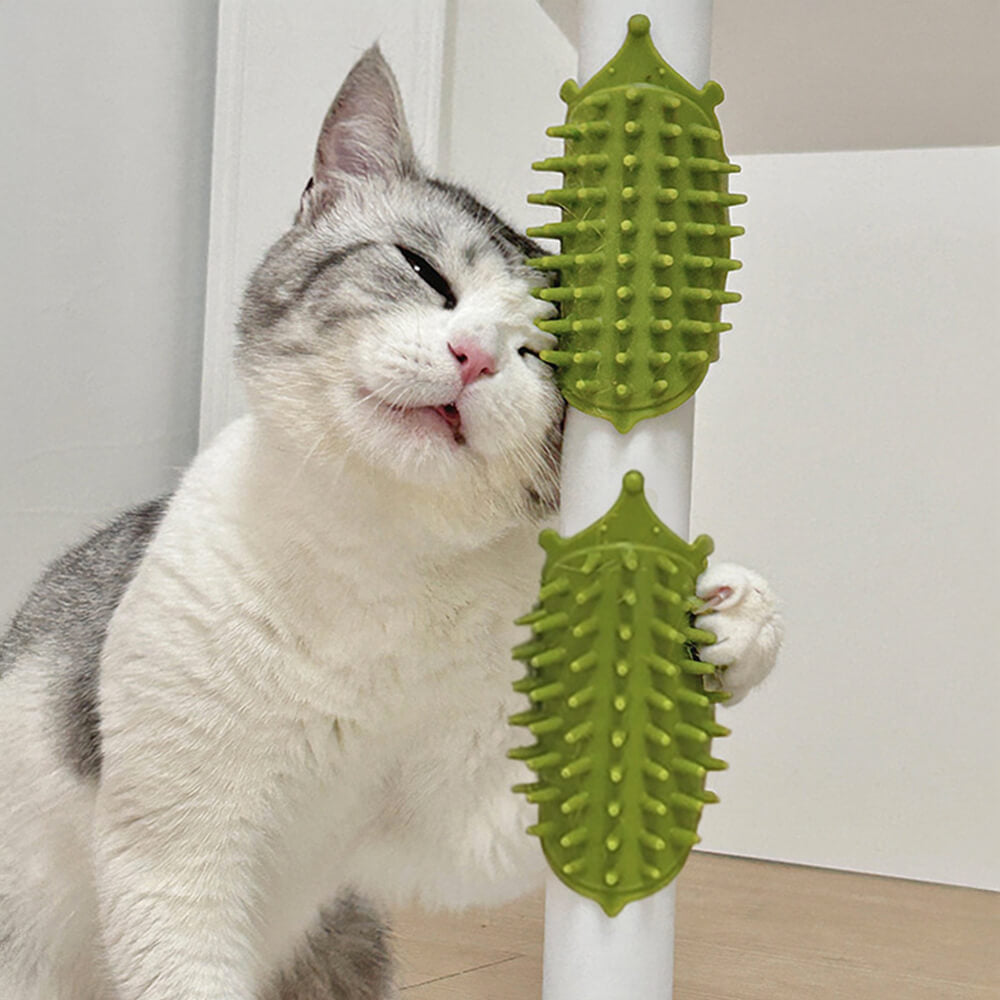 Brosse à masser et gratter pour pattes de table en caoutchouc pour animaux de compagnie