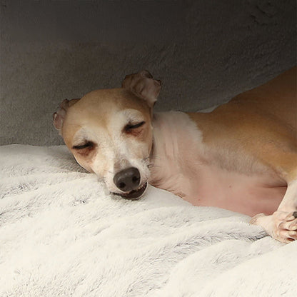 Lit de tente de camping triangulaire pour chiens et chats, grand espace, chaud et respectueux de la peau