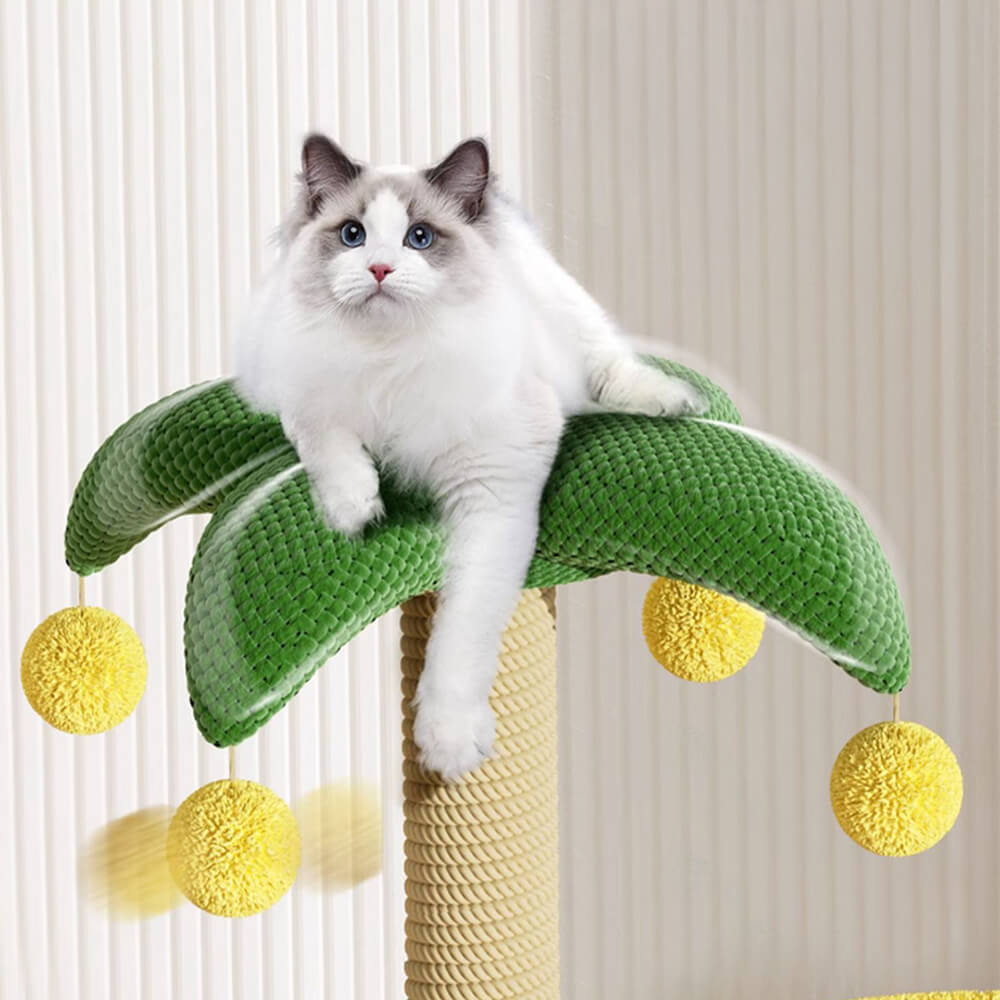 Cadre d'escalade pour chat en forme de palmier tropical