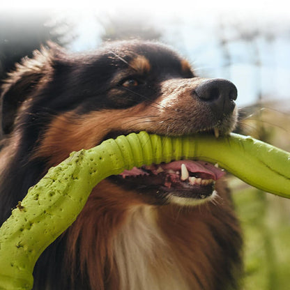 Anneau de guerre Jouet interactif pour chien durable, imperméable, léger et flexible