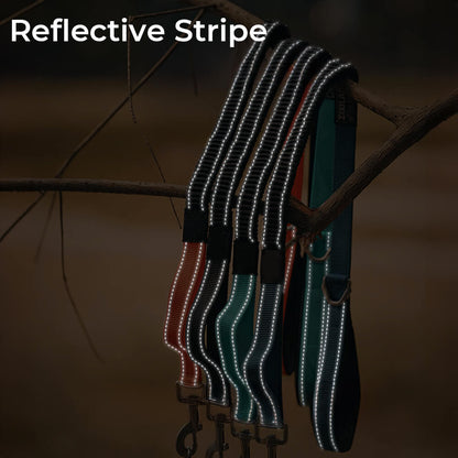 Collier et laisse pour chien anti-traction réfléchissants multifonctionnels