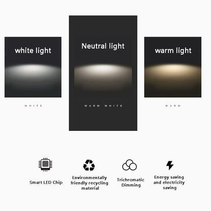 Couloir Corridor Escalier Lampe Nordique Longue Lumières LED au Plafond