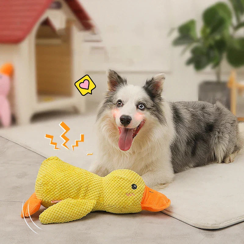 Floroux Calming Duck for Dogs | Stress Relief | Scented Toy | Canine Well-being