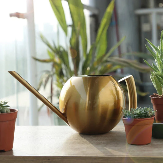 Floroux Arrosoir Minimaliste | Design Moderne | Parfait pour les Plantes d'Intérieur