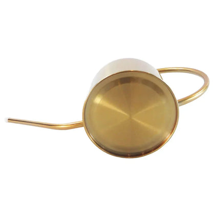 Arrosoir en acier inoxydable réutilisable avec bec long