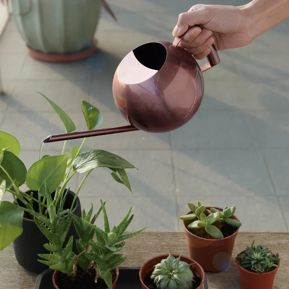 Floroux Arrosoir Minimaliste | Design Moderne | Parfait pour les Plantes d'Intérieur
