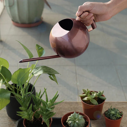 Floroux Arrosoir Minimaliste | Design Moderne | Parfait pour les Plantes d'Intérieur