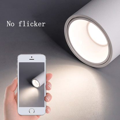 Floroux Cob-Downlights