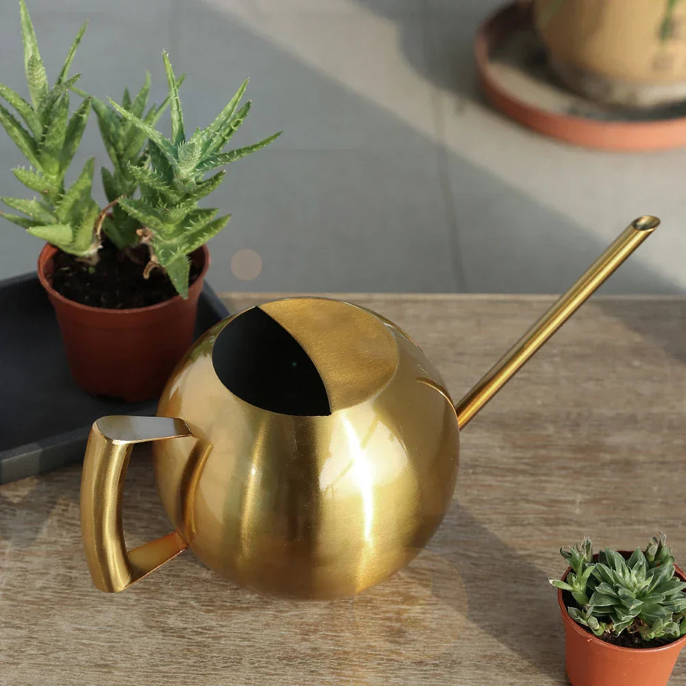 Floroux Arrosoir Minimaliste | Design Moderne | Parfait pour les Plantes d'Intérieur