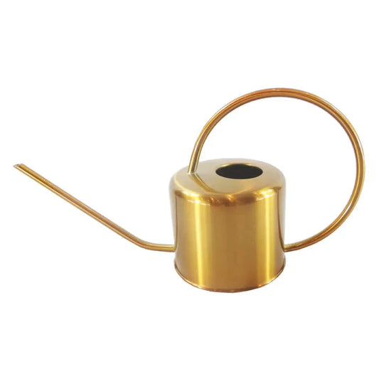 Arrosoir en acier inoxydable réutilisable avec bec long
