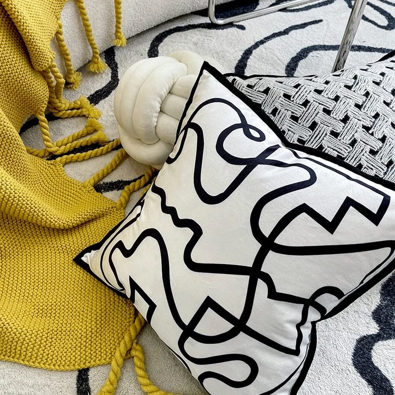 Coussin  Housse de coussin