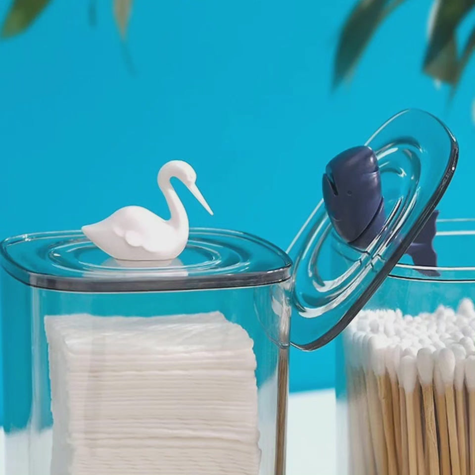 Boîte de rangement pour coton-tige transparent