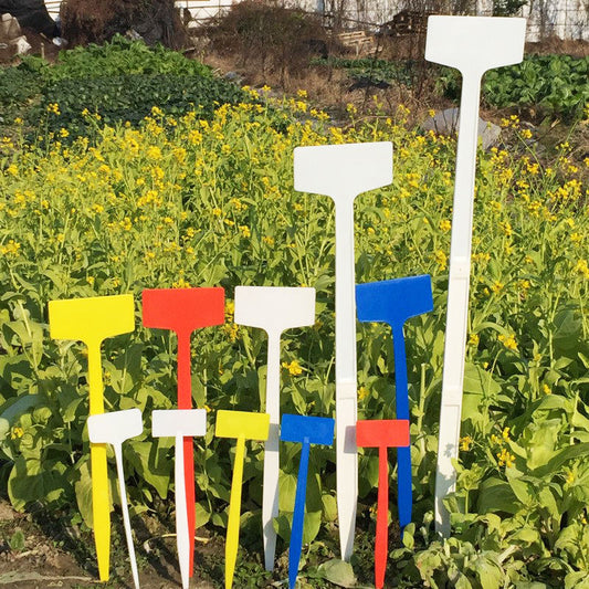 Étiquettes de plantes en plastique pour le jardinage.