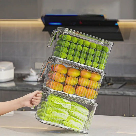 Boîte de Rangement pour Réfrigérateur