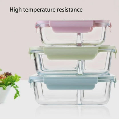 Boîte à lunch partitionnée en verre borosilicate