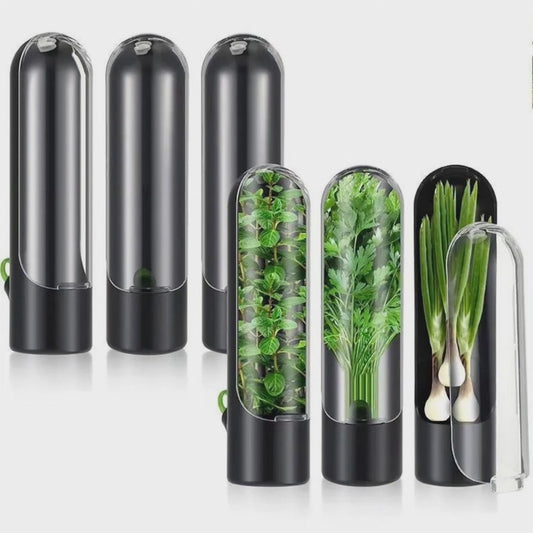 Préservateur d'herbes fraîches BlackNov