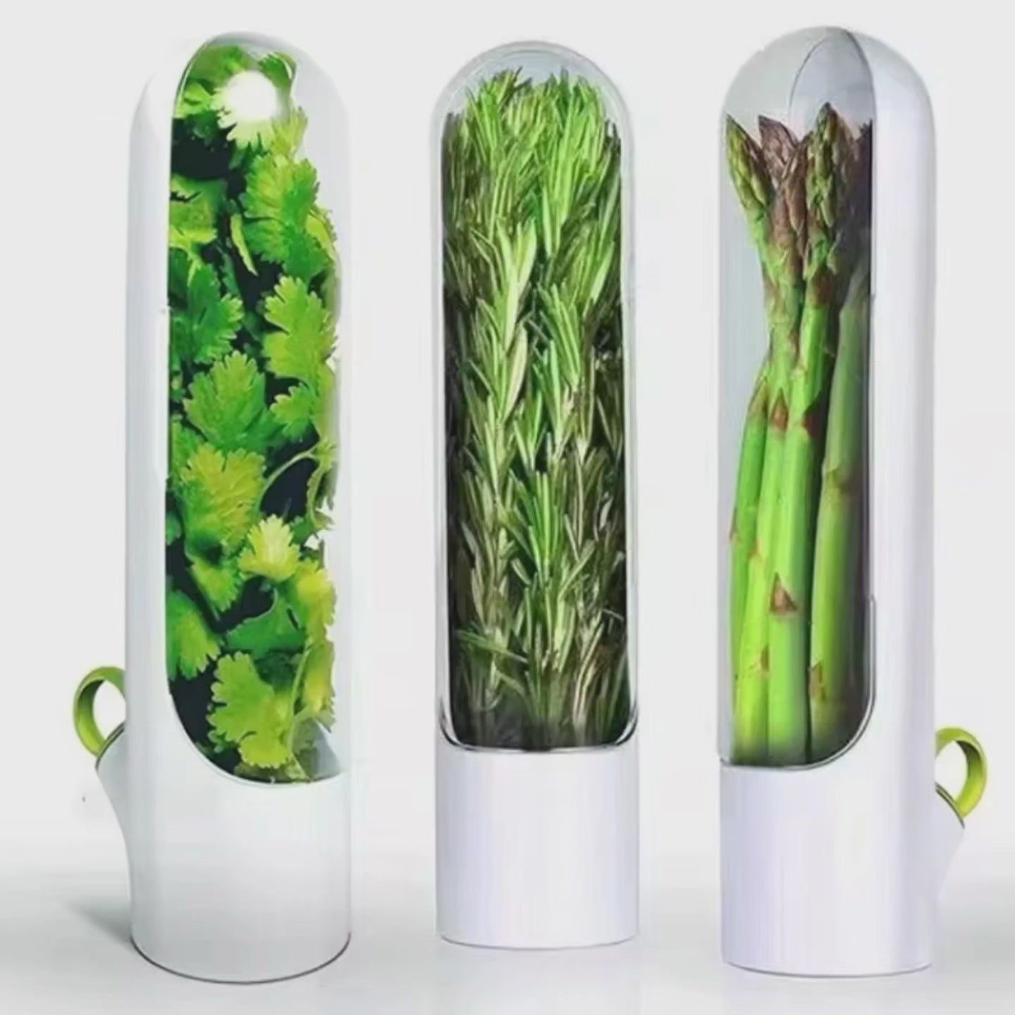 Préservateur d'herbes fraîches BlackNov