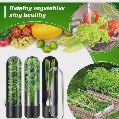 Préservateur d'herbes fraîches BlackNov