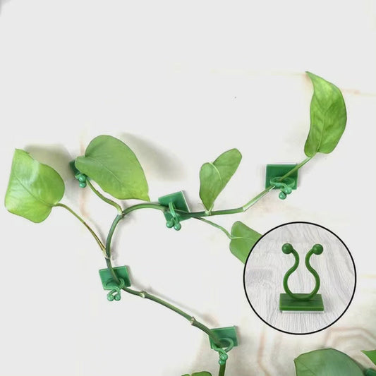 10pcs Clips Muraux de Plante Invisibles