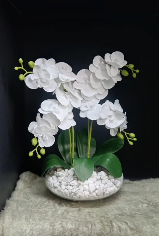 Fleurs d'orchidée avec vase en verre