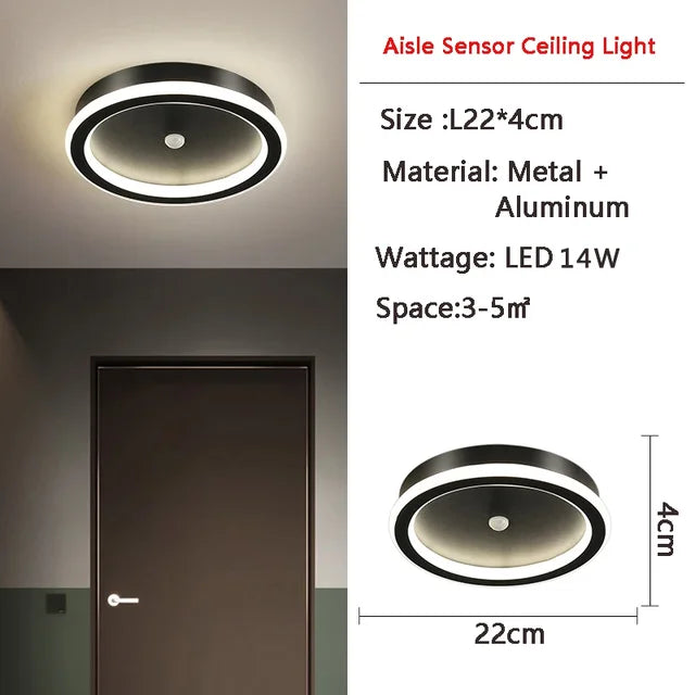 Floroux - Lumière à induction