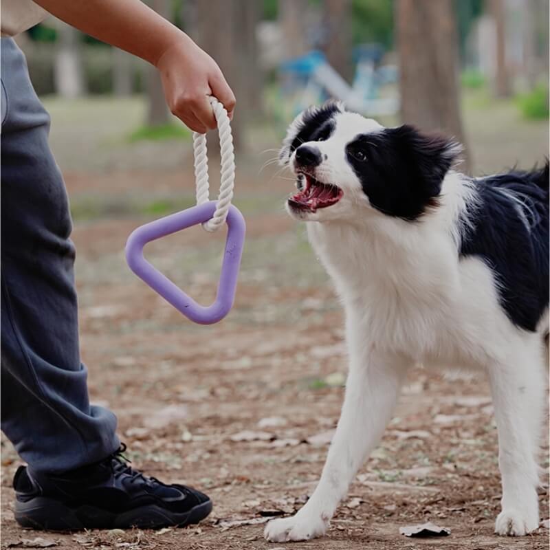 Jouet interactif de tir à la corde pour chien, nettoyage des dents, jouet à mâcher en caoutchouc