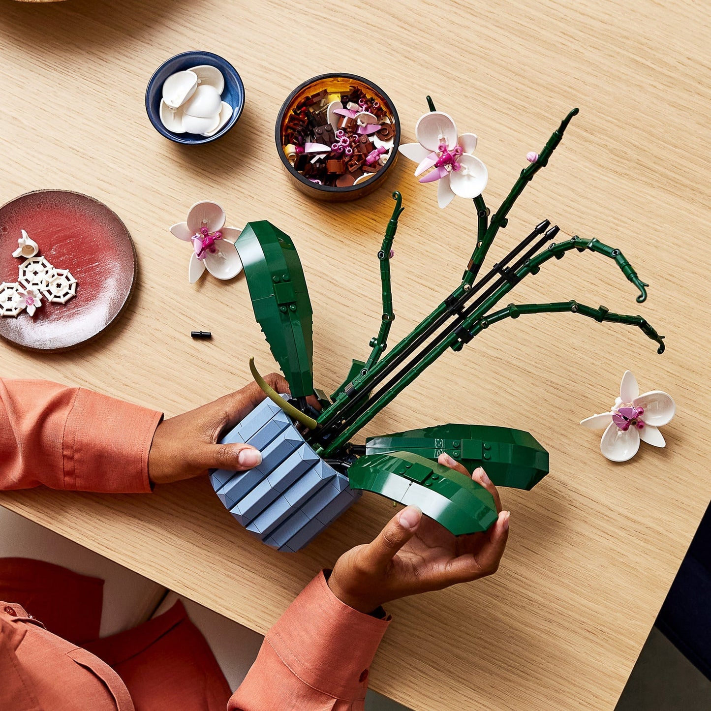 Collection Botanique Décor