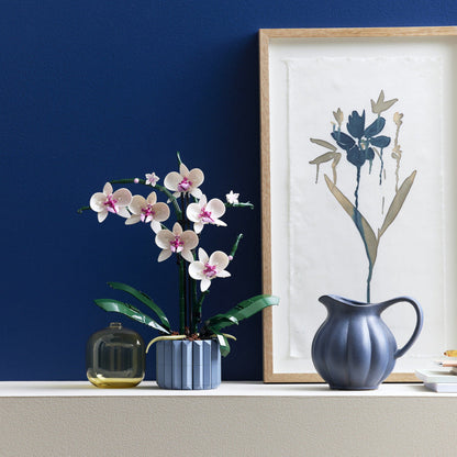 Collection Botanique Décor