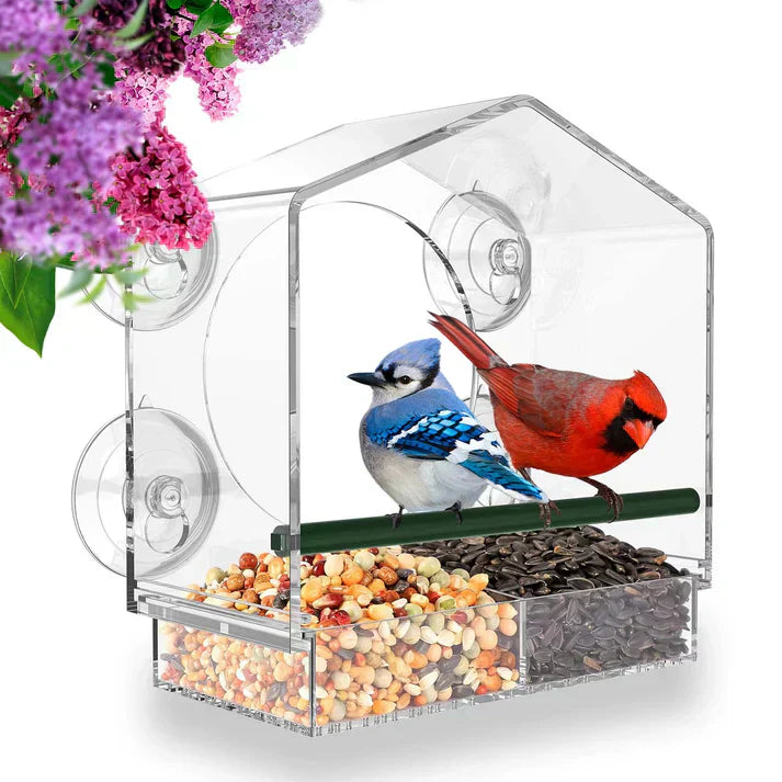 Floroux | Station de nourrissage pour oiseaux en acrylique transparent