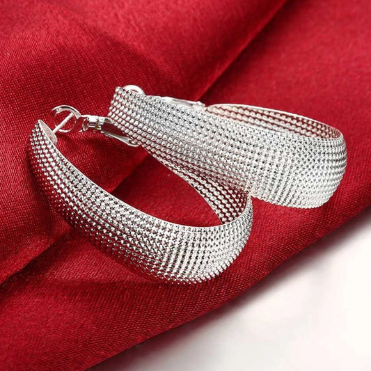 Boucles d'oreilles en argent élégantes d'Europe | Parfait pour chaque moment et chaque occasion !