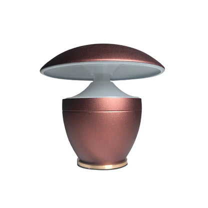 Floroux  -  petite lampe de bureau lumière