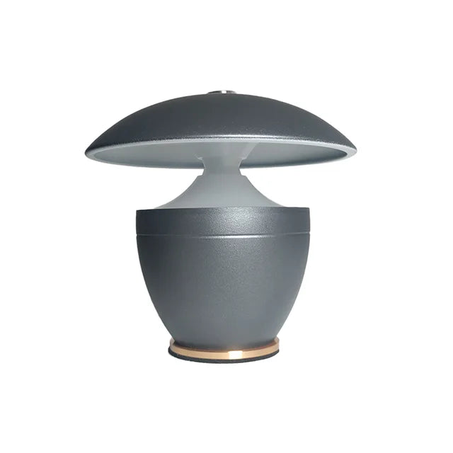 Floroux  -  petite lampe de bureau lumière
