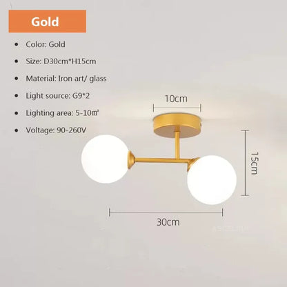 Floroux - Tête luminaire plafonnier