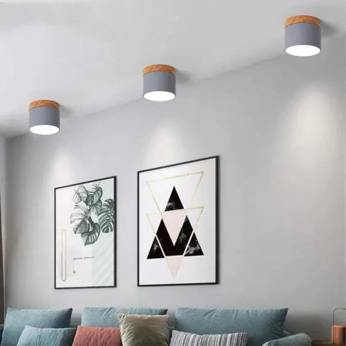 Floroux Cylindre LED Plafonniers pour Couloirs