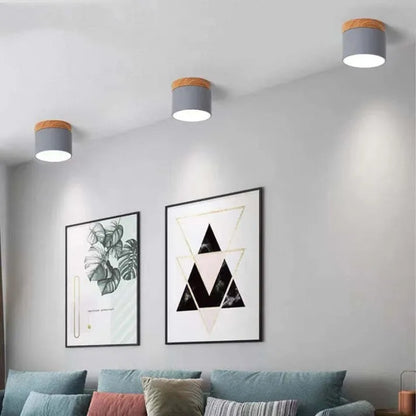 Floroux Cylindre LED Plafonniers pour Couloirs