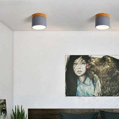 Floroux Cylindre LED Plafonniers pour Couloirs