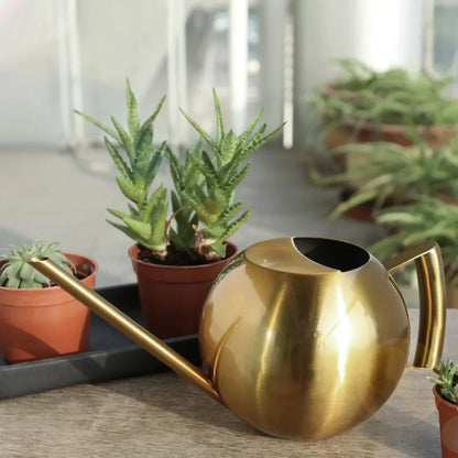 Floroux Arrosoir Minimaliste | Design Moderne | Parfait pour les Plantes d'Intérieur