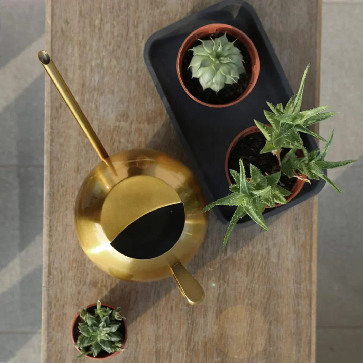 Floroux Arrosoir Minimaliste | Design Moderne | Parfait pour les Plantes d'Intérieur