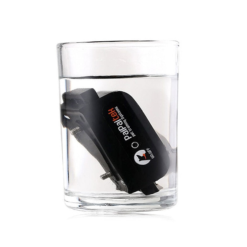 Floroux Collier de dressage pour chien - Imperméable, Rechargeable et Longue portée