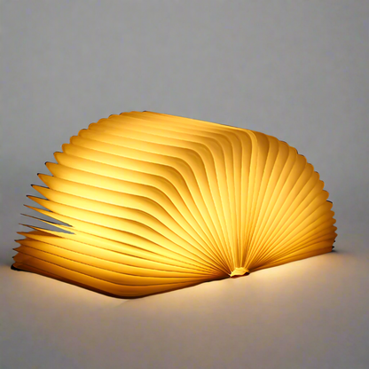 Floroux Livre Lampe