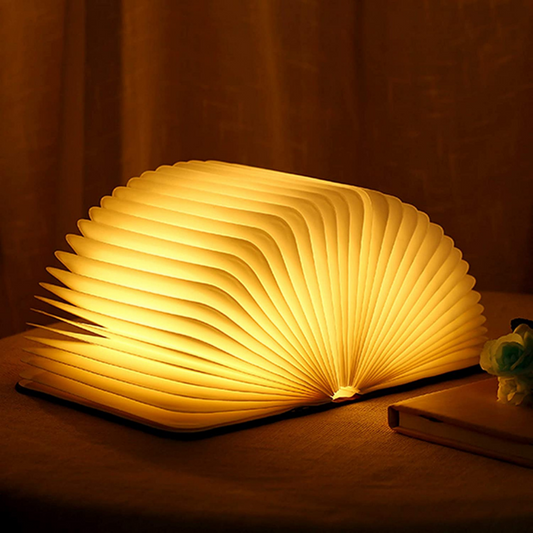 Floroux Livre Lampe