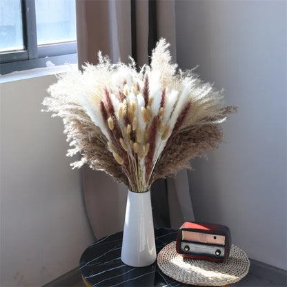 Floroux - Herbe de Pampas douillette