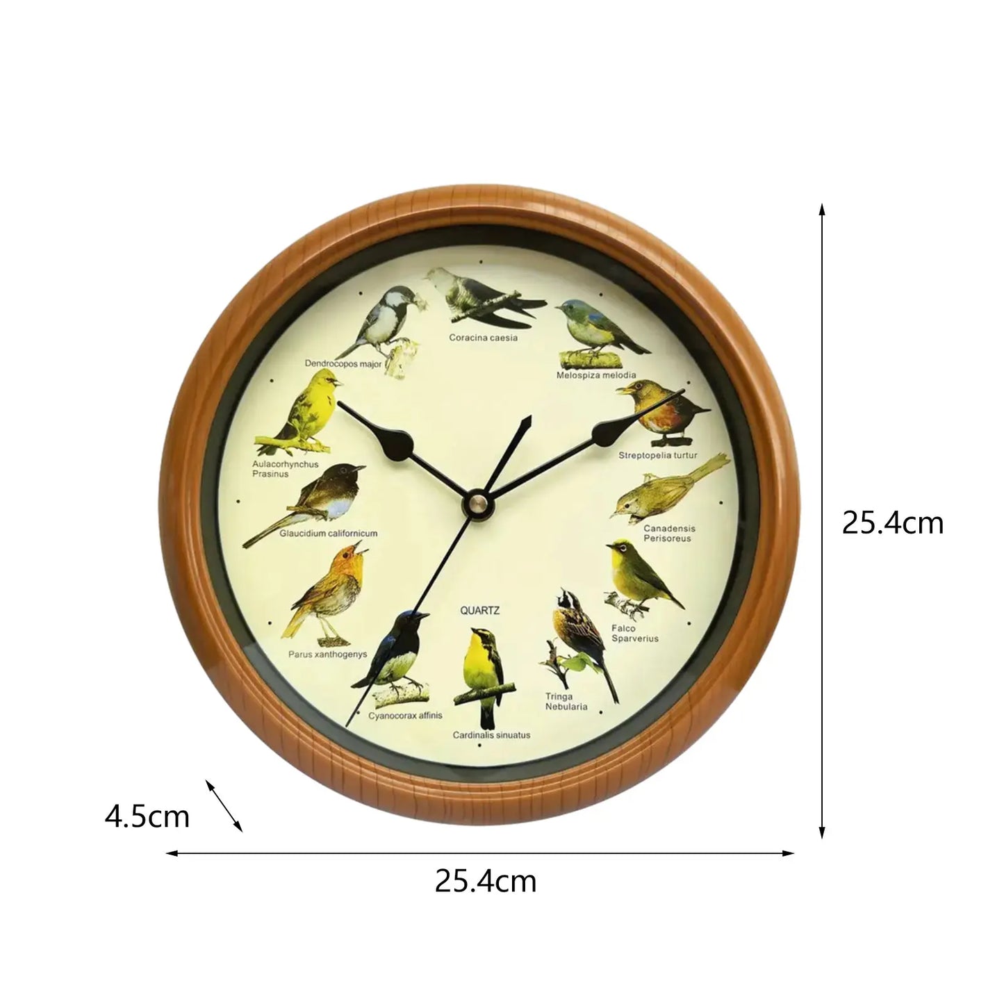 BirdSong Horloge – Horloge Murale de 10 Pouces pour Intérieur Élégant