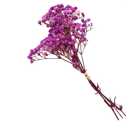 Floroux Dried Natural Gypsophila Flowers | Decorative Dried Flowers | Versatile Home & Event Decor