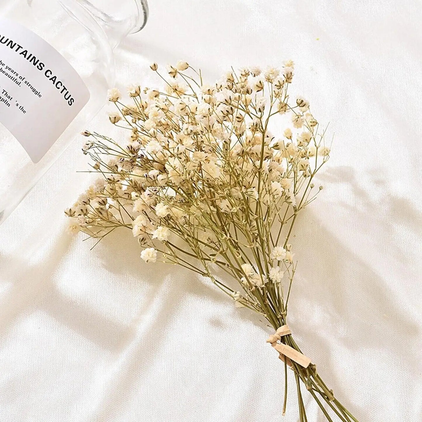 Floroux Dried Natural Gypsophila Flowers | Decorative Dried Flowers | Versatile Home & Event Decor