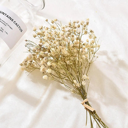 Floroux Dried Natural Gypsophila Flowers | Decorative Dried Flowers | Versatile Home & Event Decor